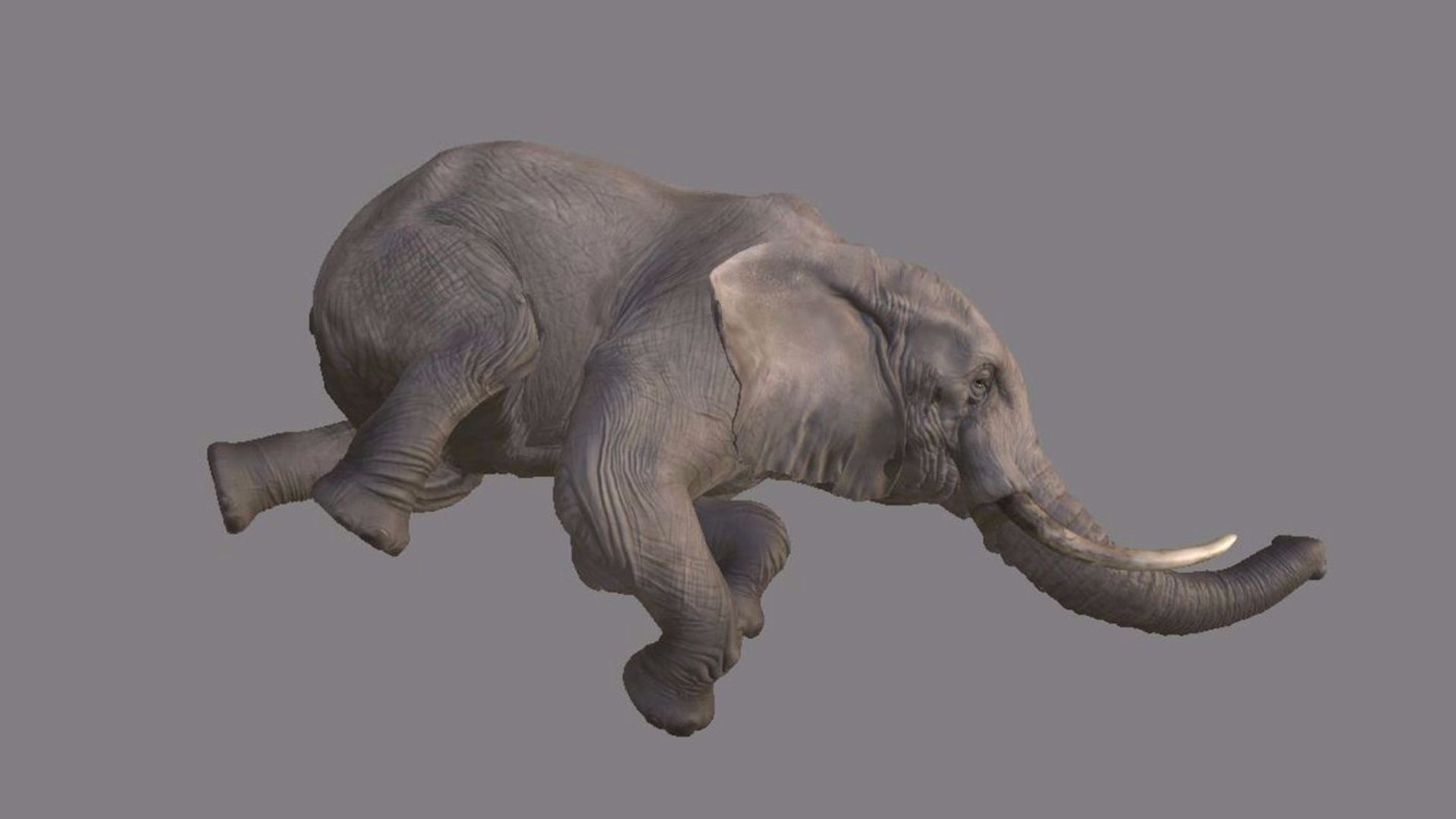 Ryse - Elephant
