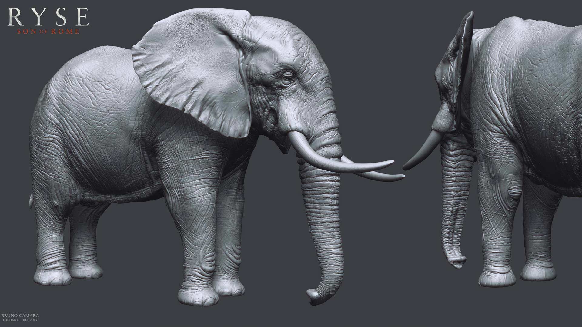 Marketplace Spotlight: RYSE Elephant Sample