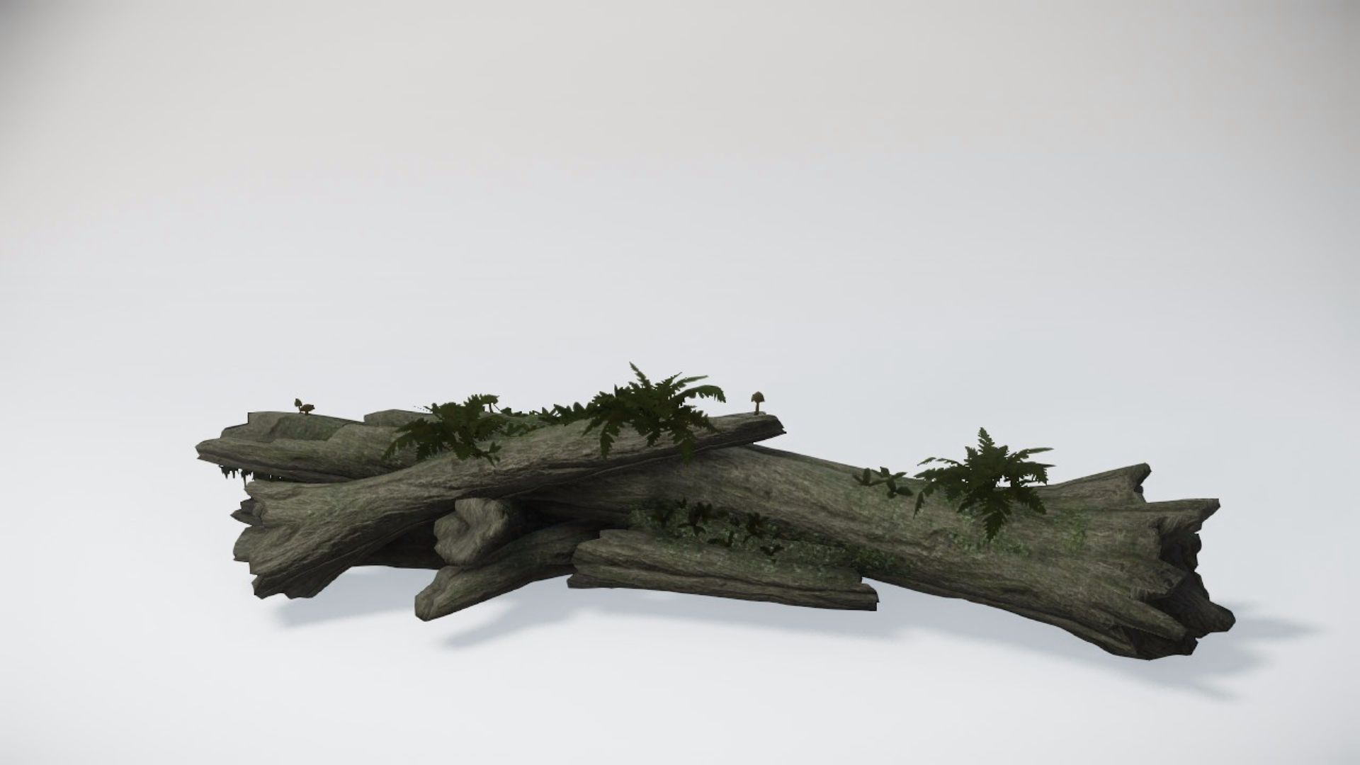 Special Trees