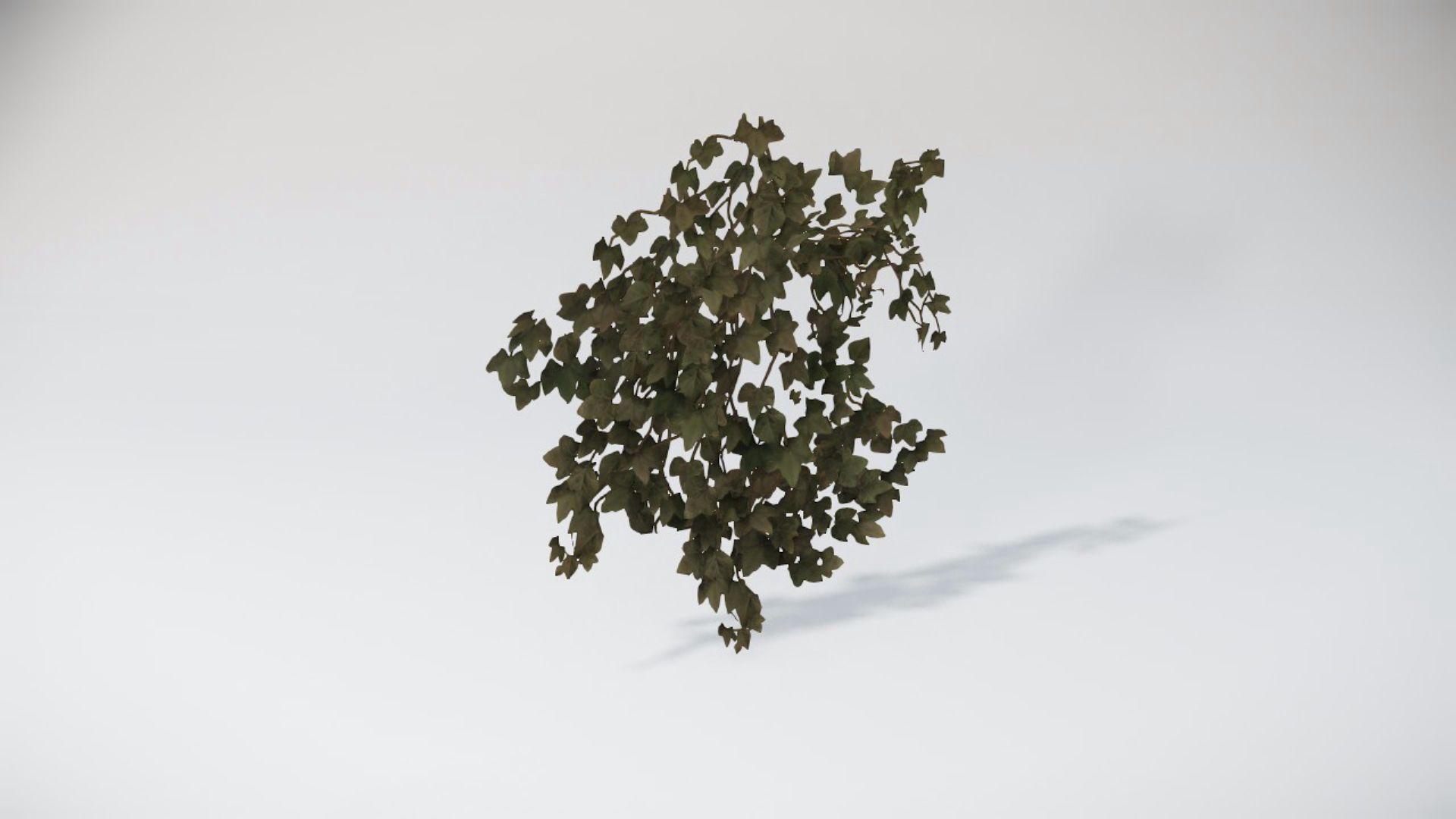 Special Bushes