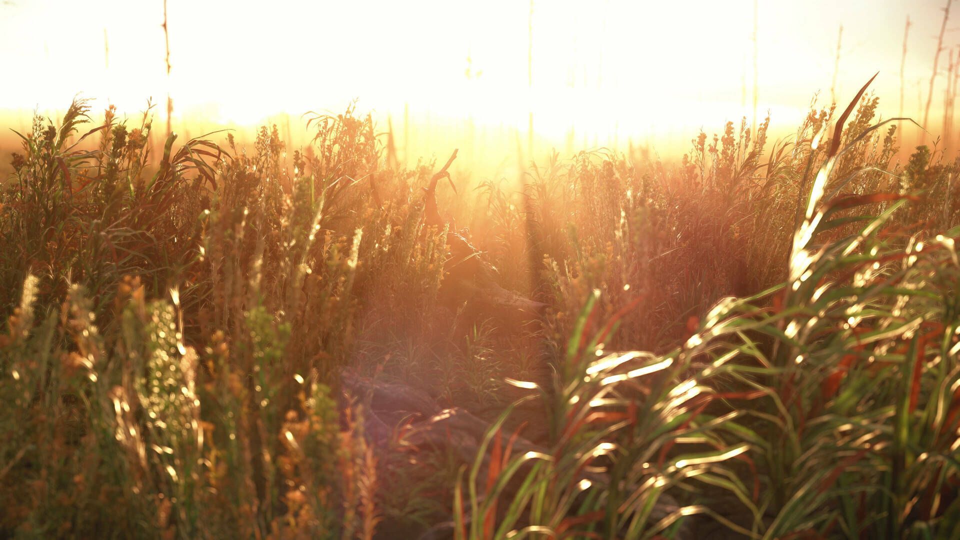 Realistic Vegetation