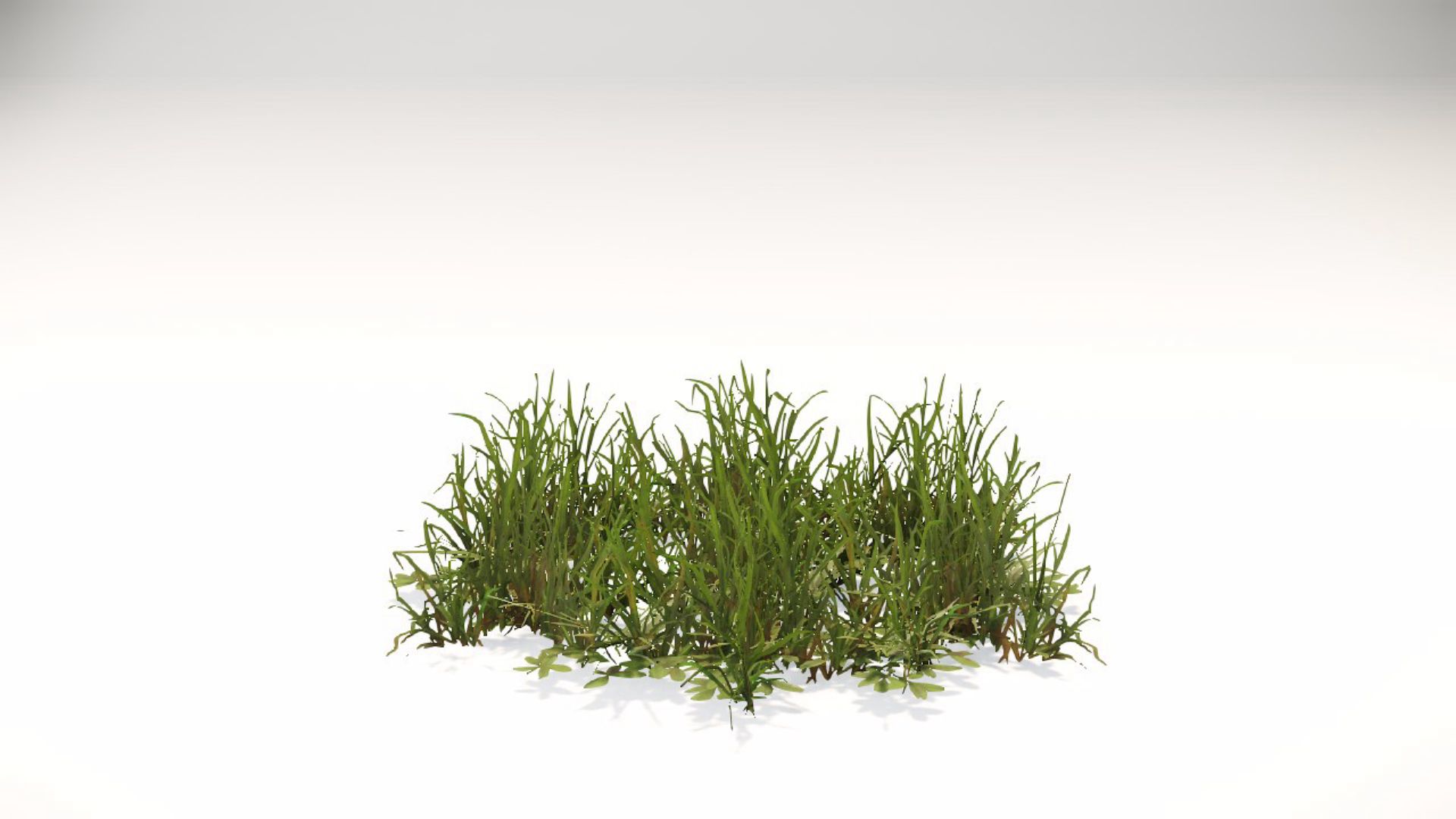 Ground