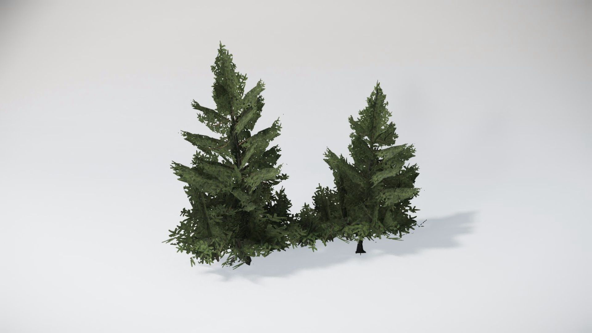 Trees 1