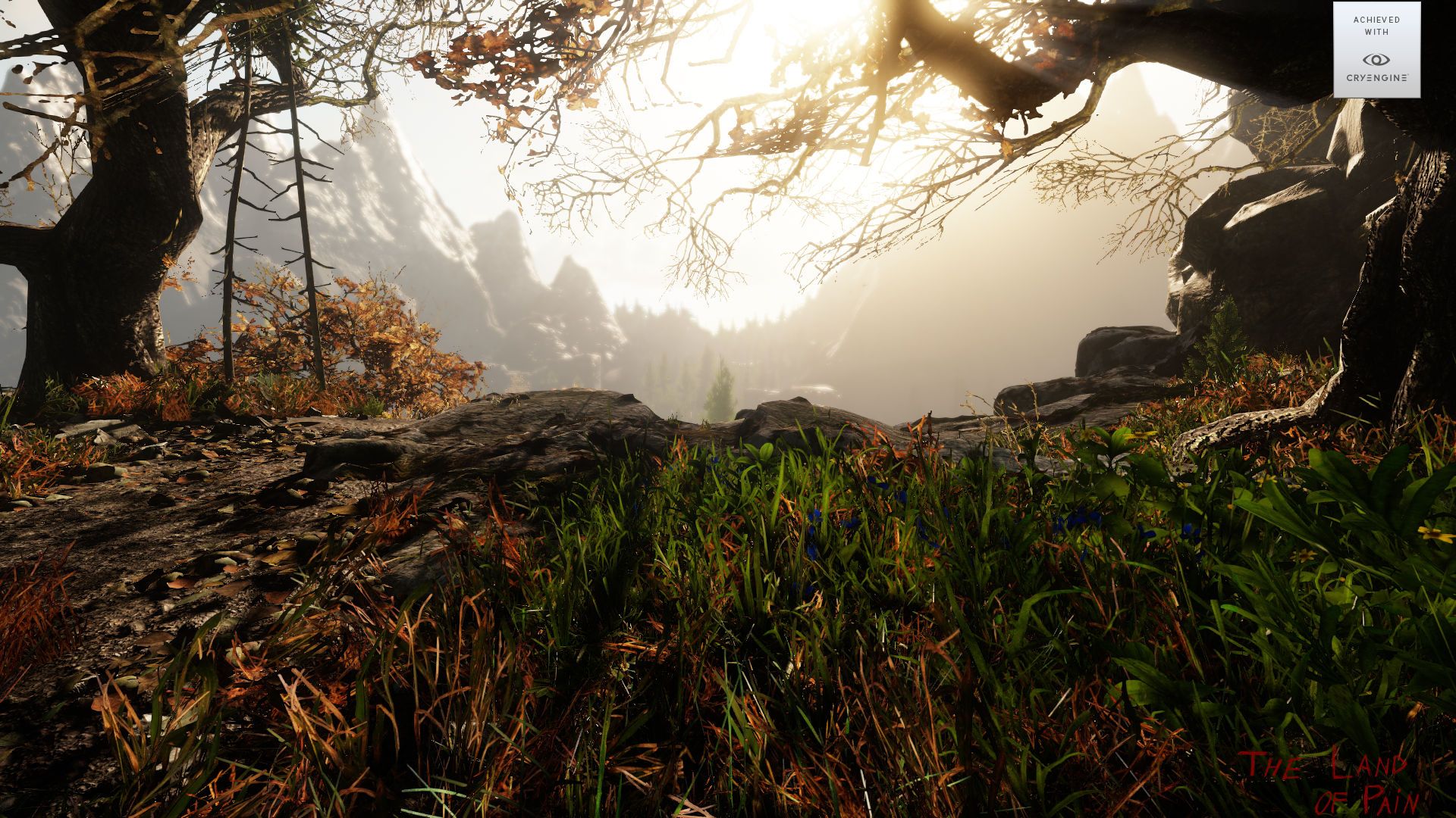 Developer Spotlight: The Land of Pain Q&A with Alessandro Guzzo