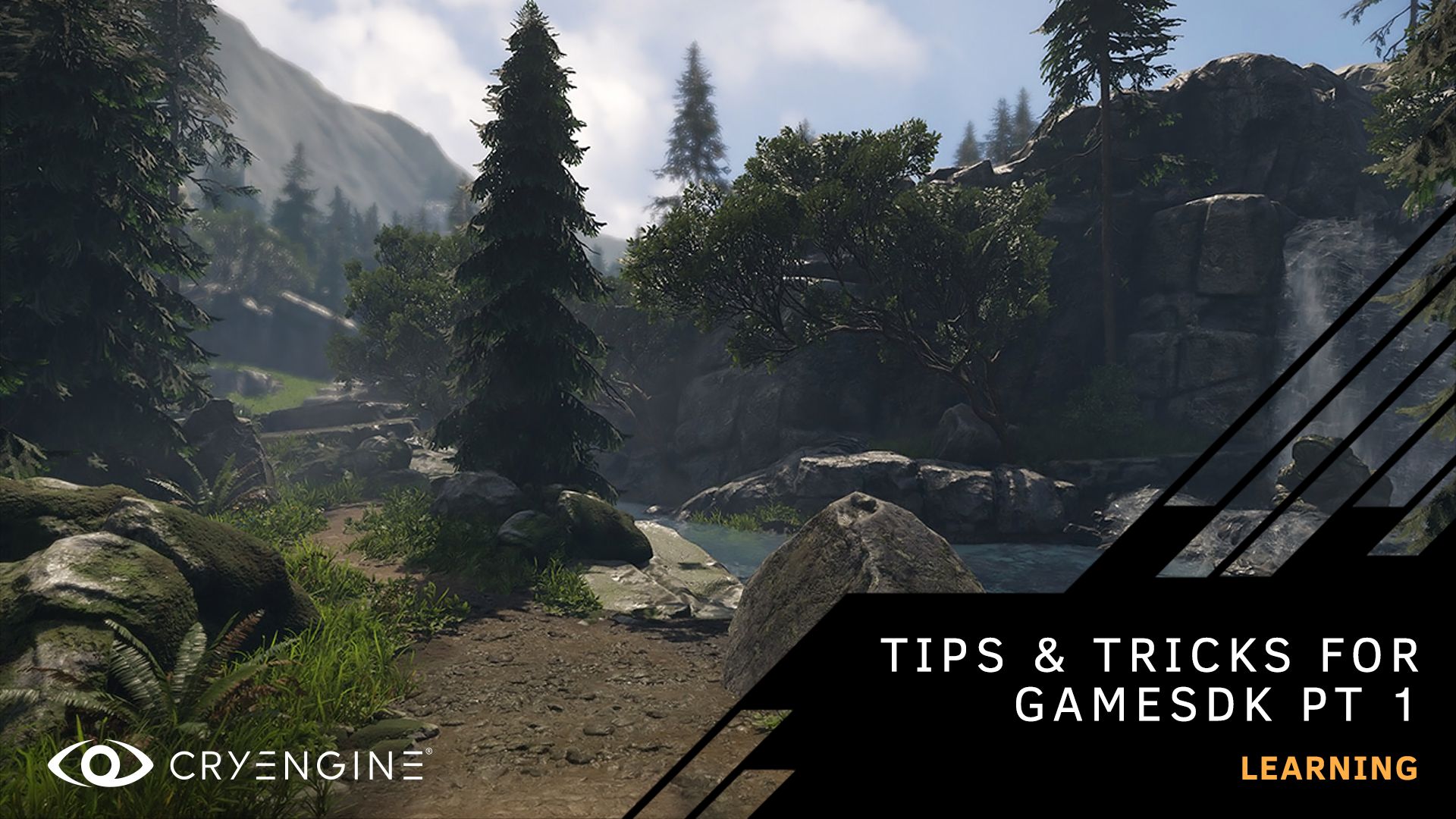 Tips and Tricks - Cherrypicking from GameSDK