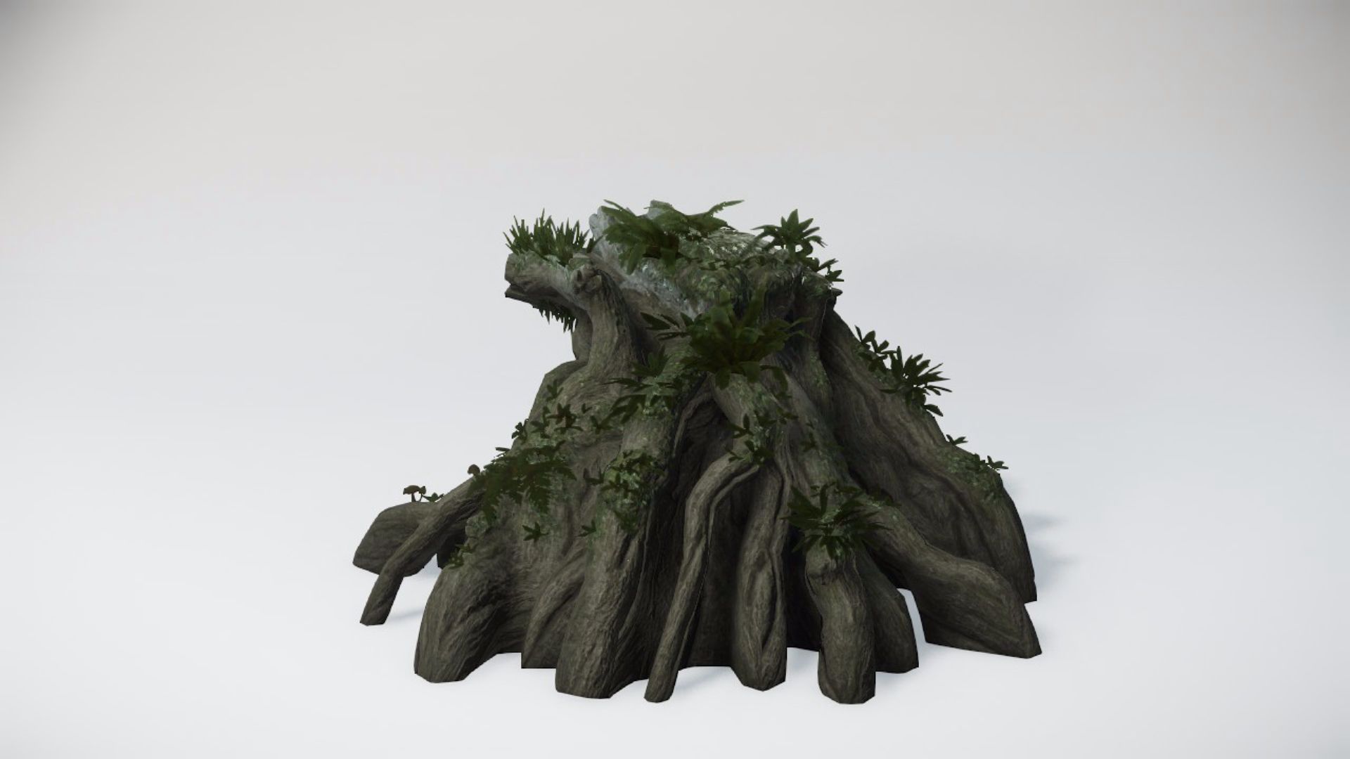 Special Trees