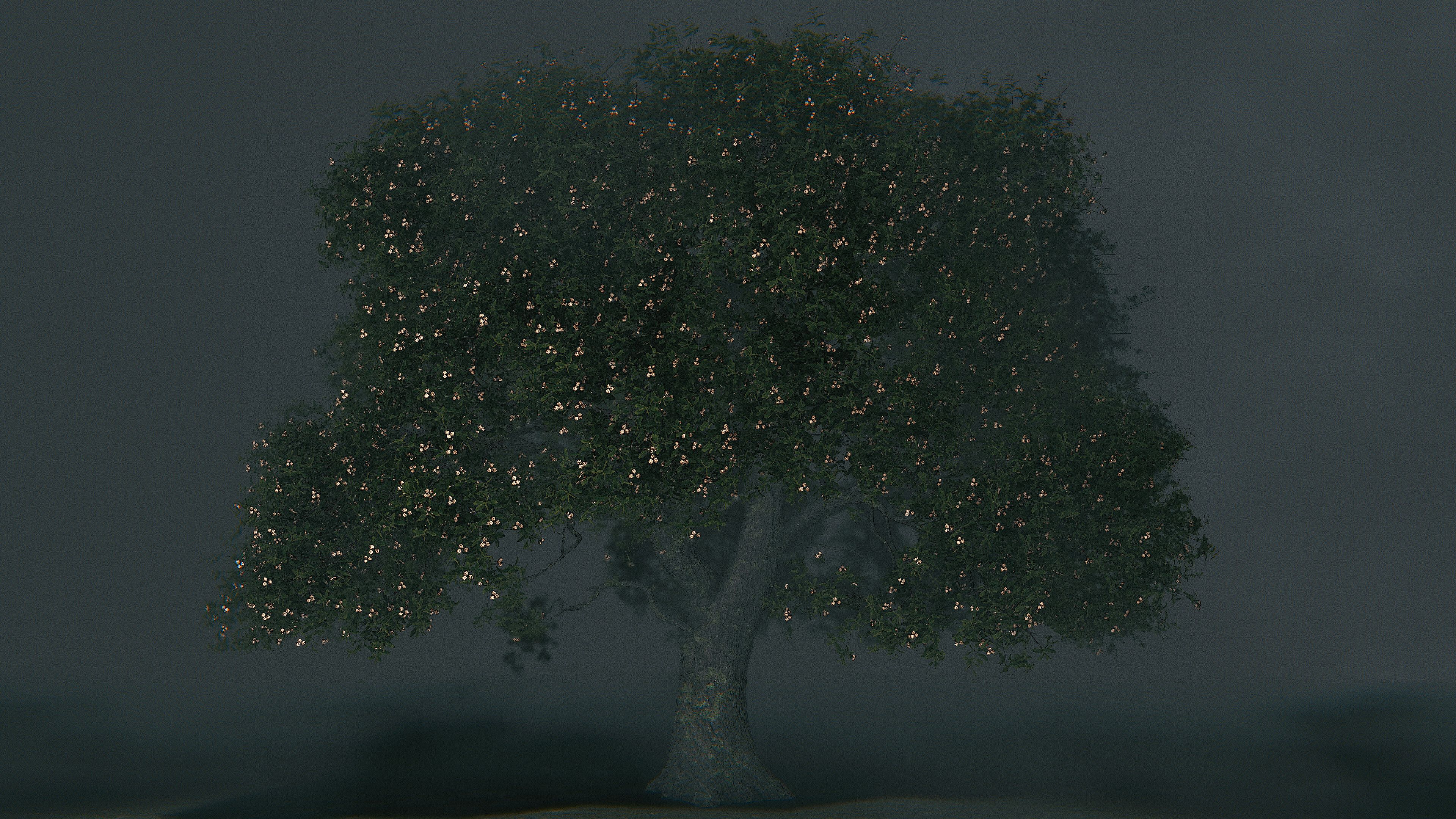 Oak Tree