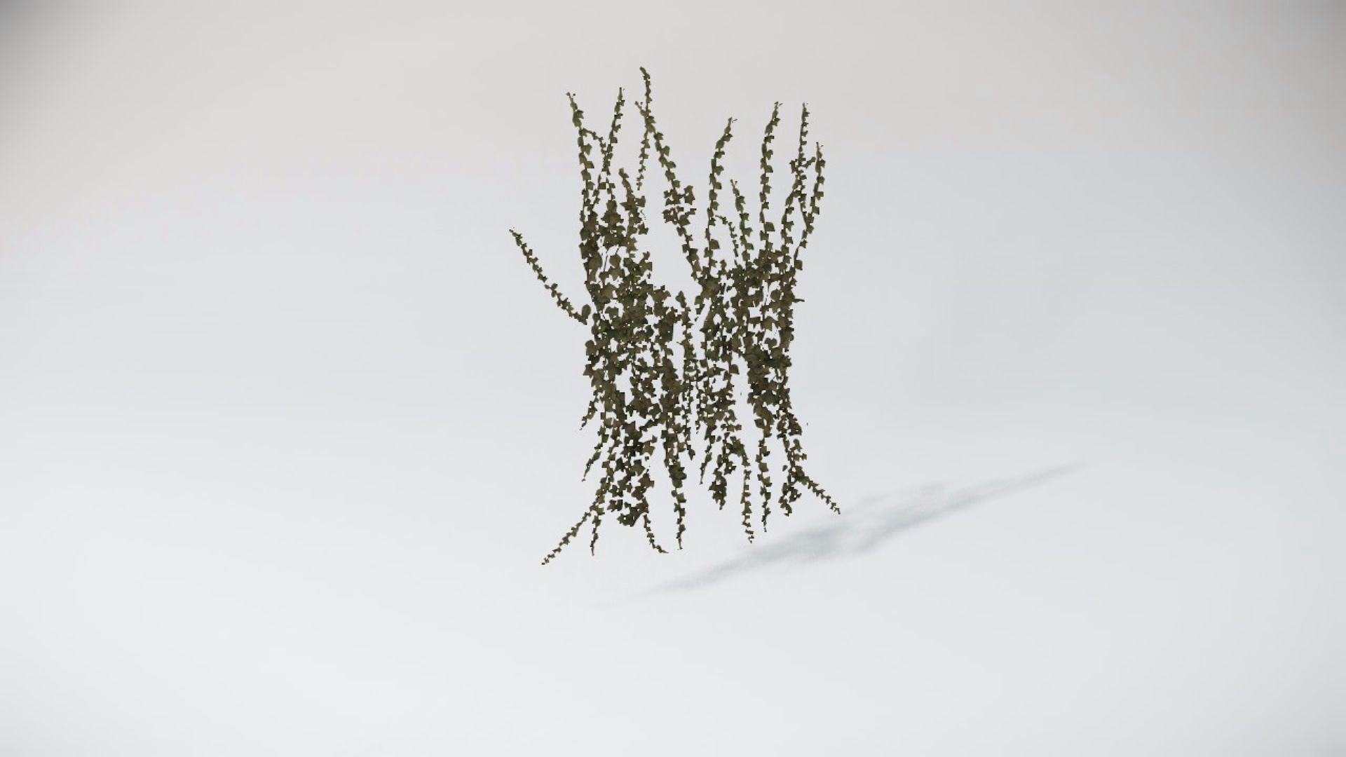 Special Bushes