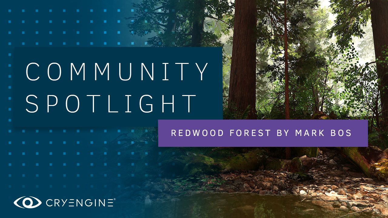 Redwood Forest Scene