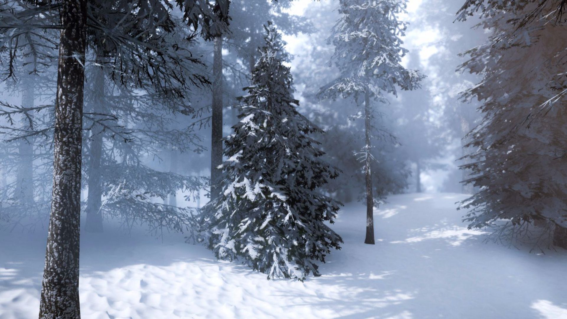 Wilderness Assets