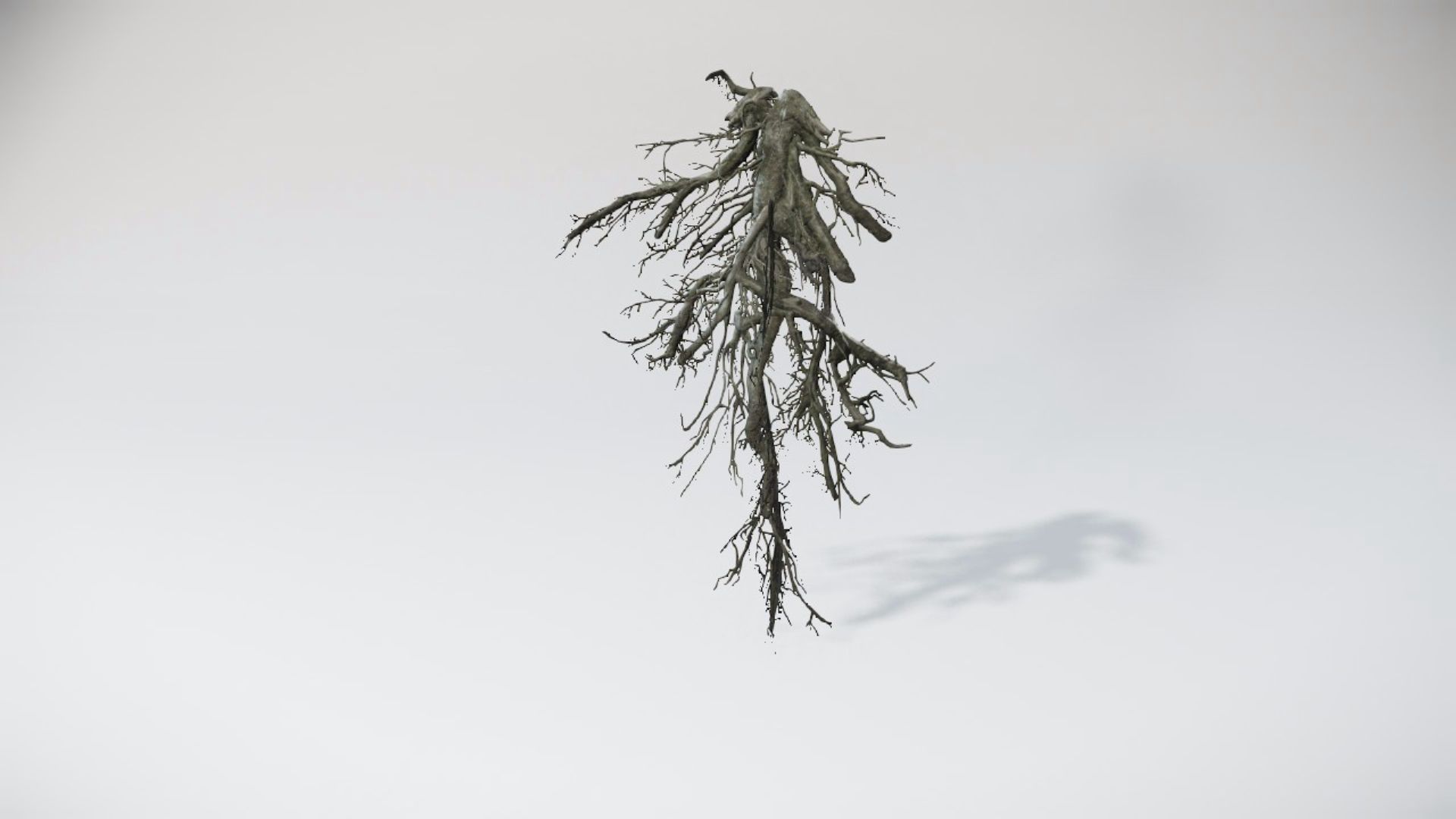 Special Trees