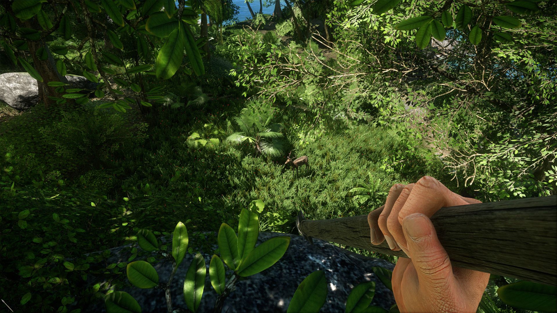 Community Spotlight: Marooned: Arcanus Island