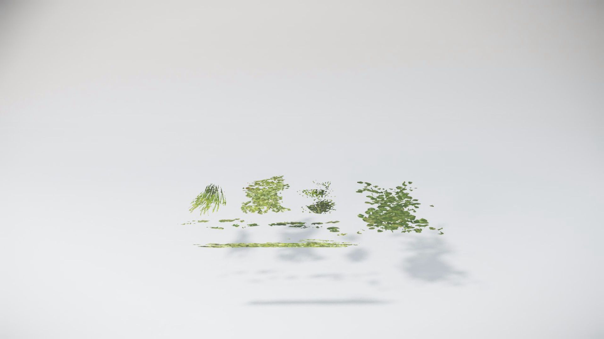 Special Bushes