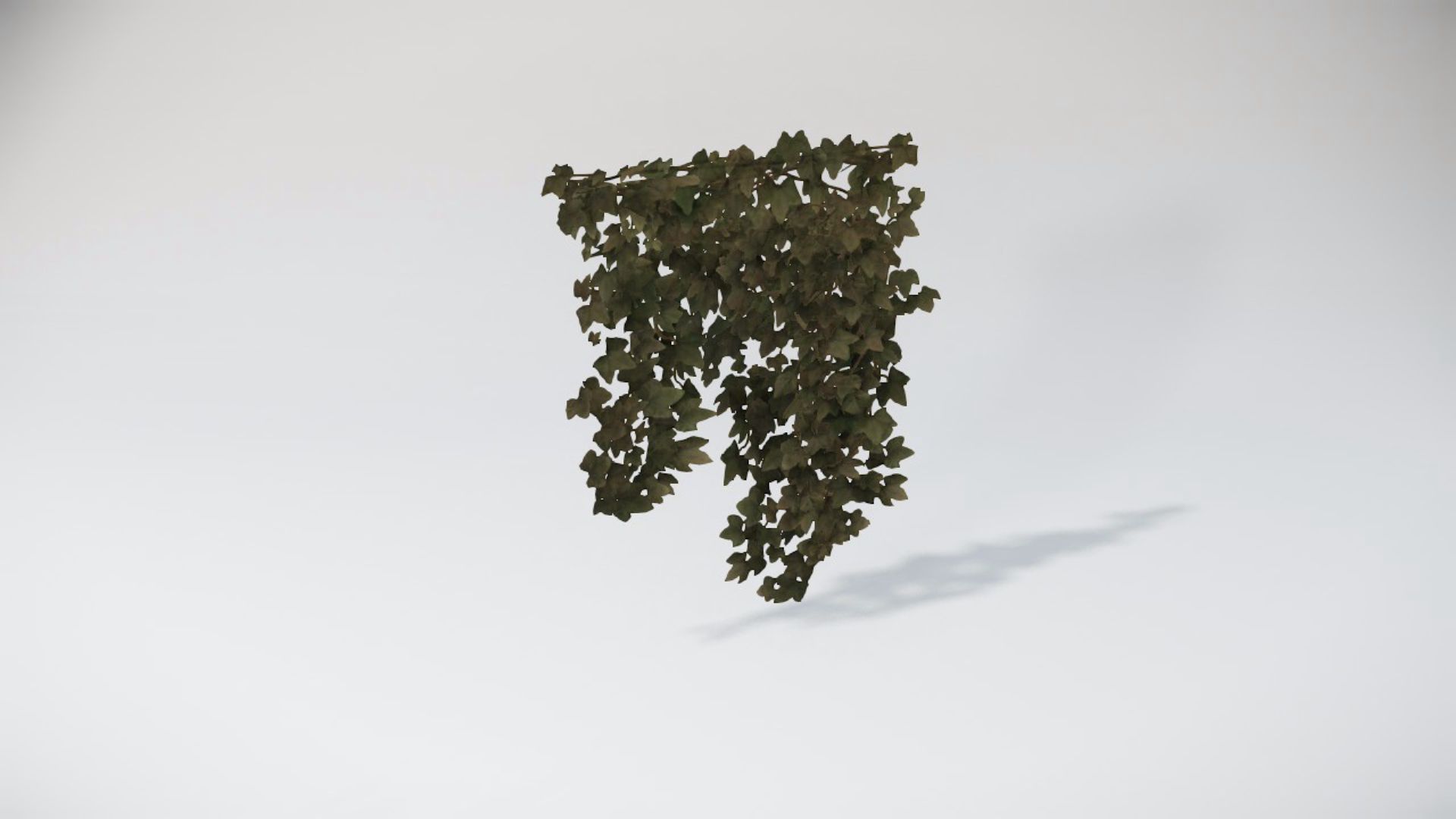 Special Bushes