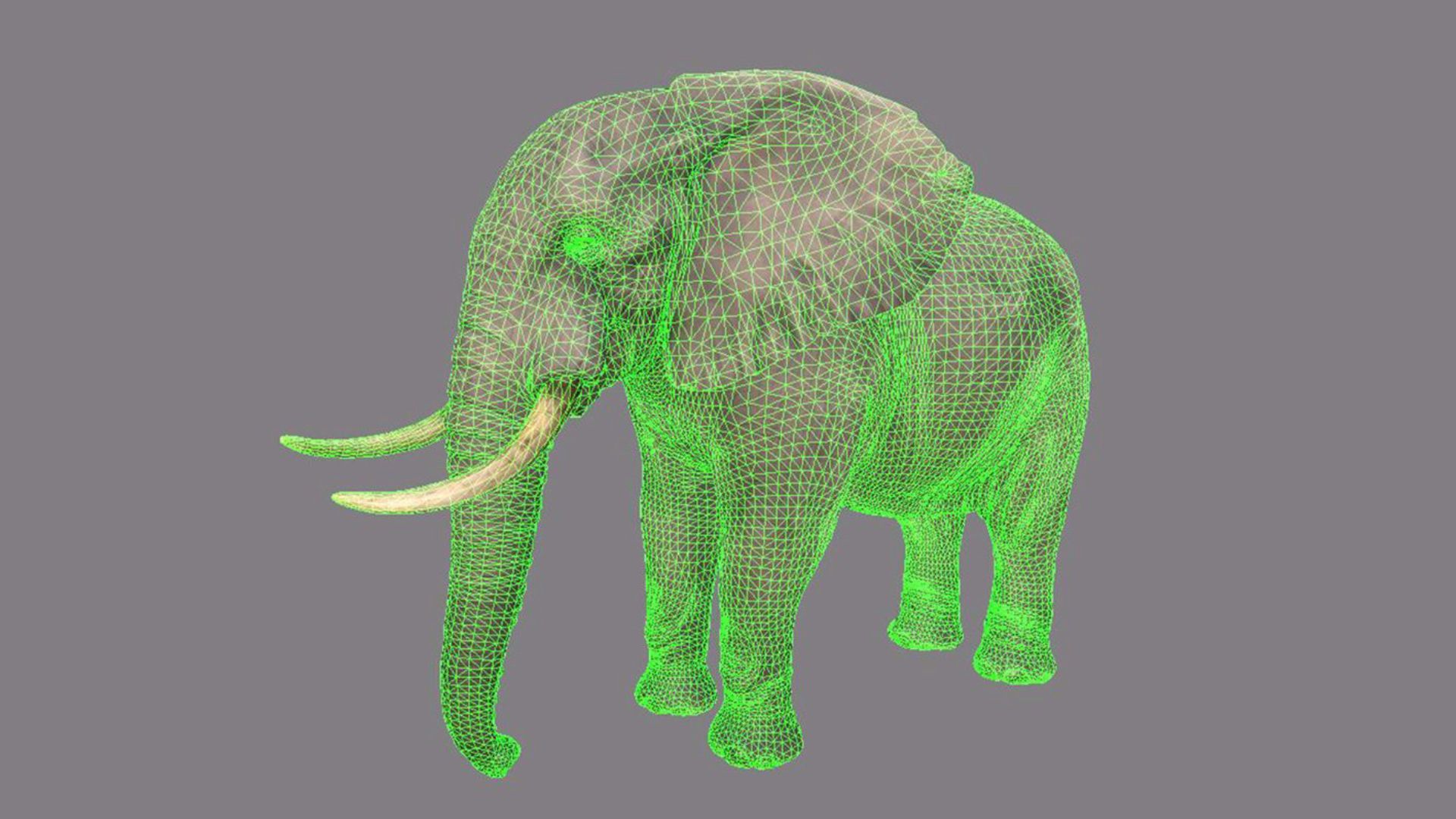 Ryse - Elephant