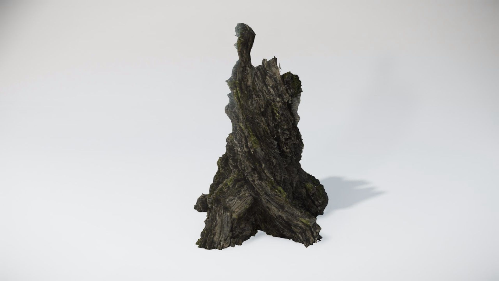 Trees 1