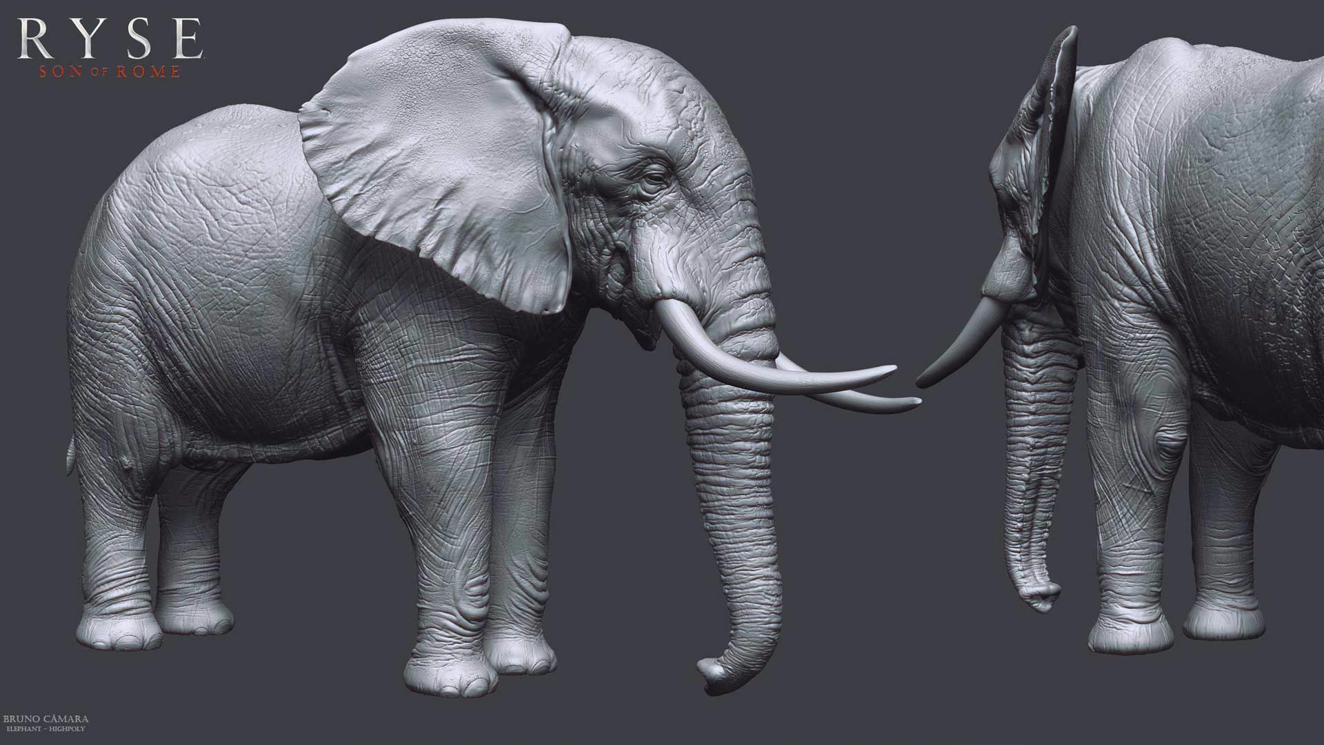 Ryse - Elephant