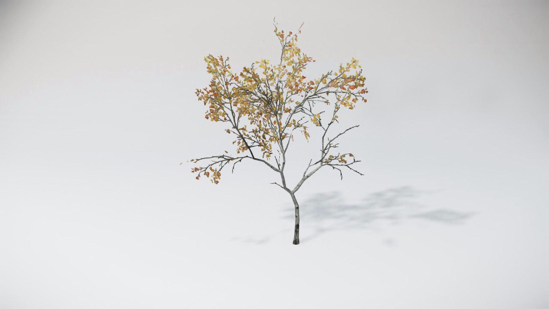Trees 2
