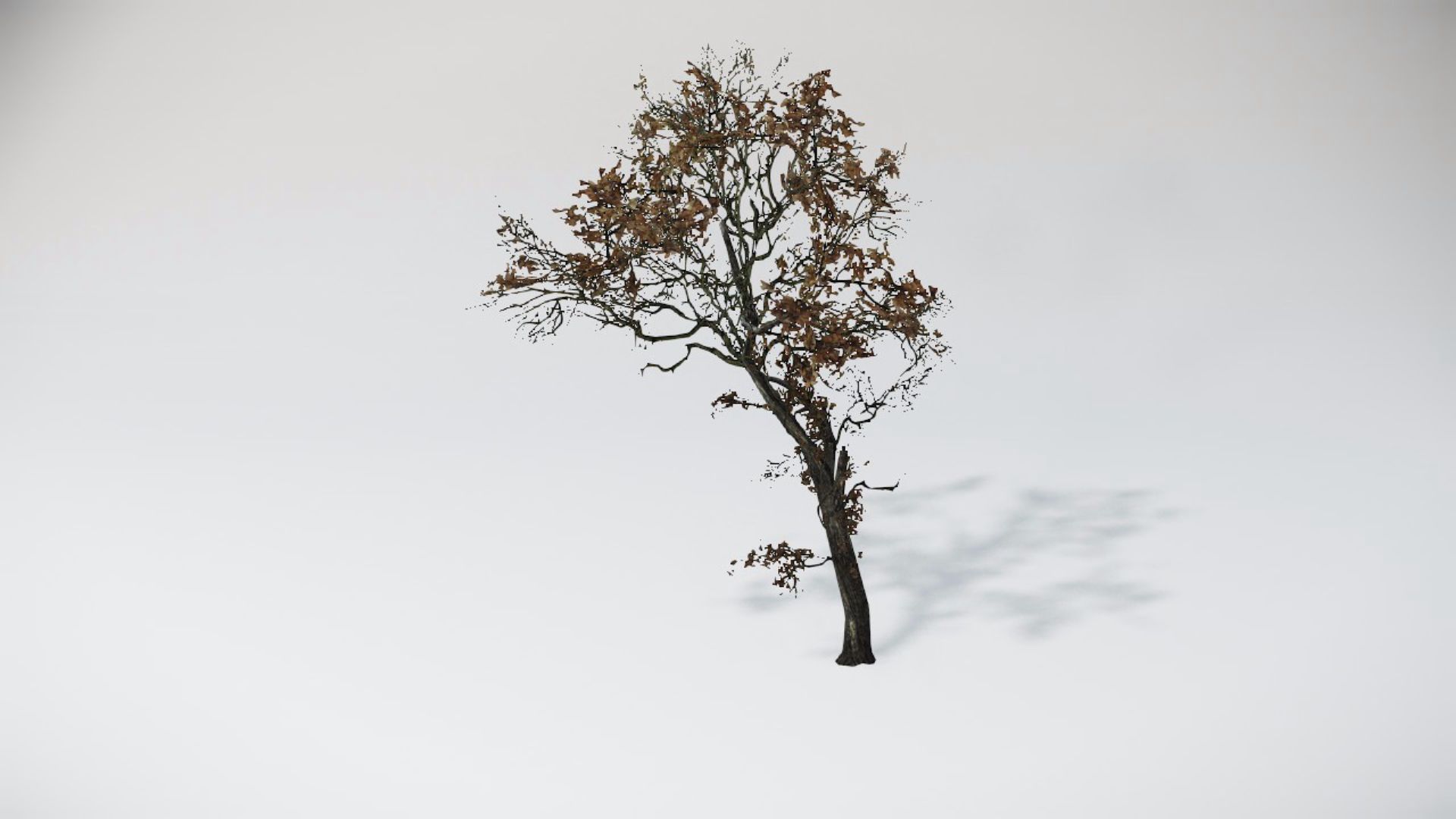 Trees 2
