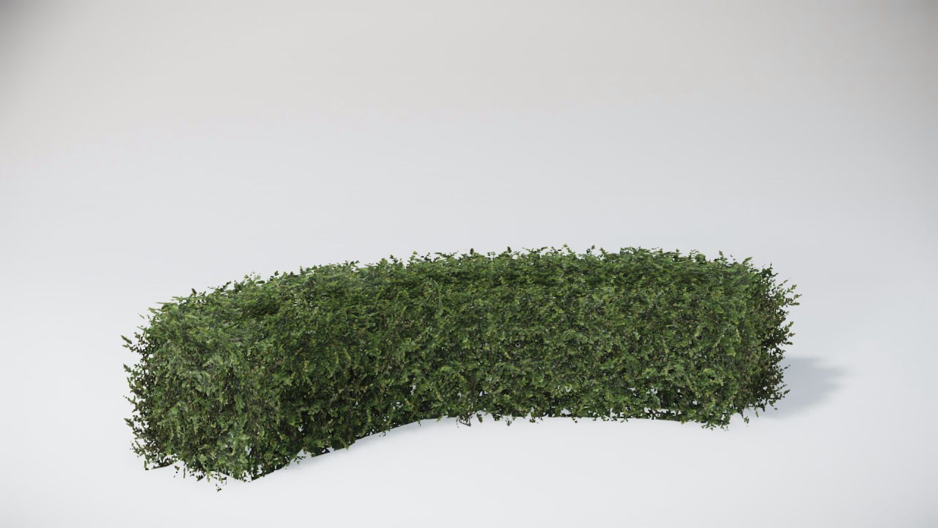 Bushes