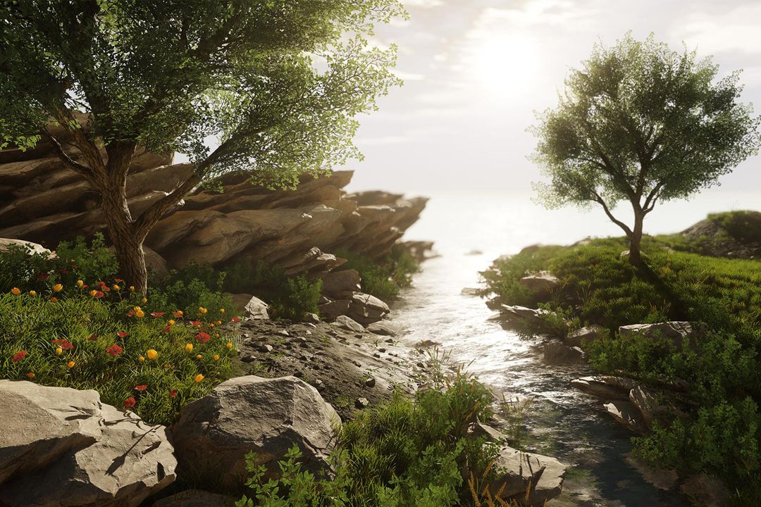 Community Spotlight: Natural Environments