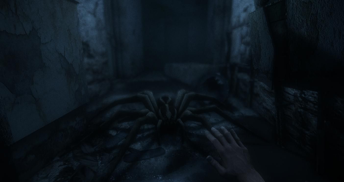 Community Spotlight: Investigator