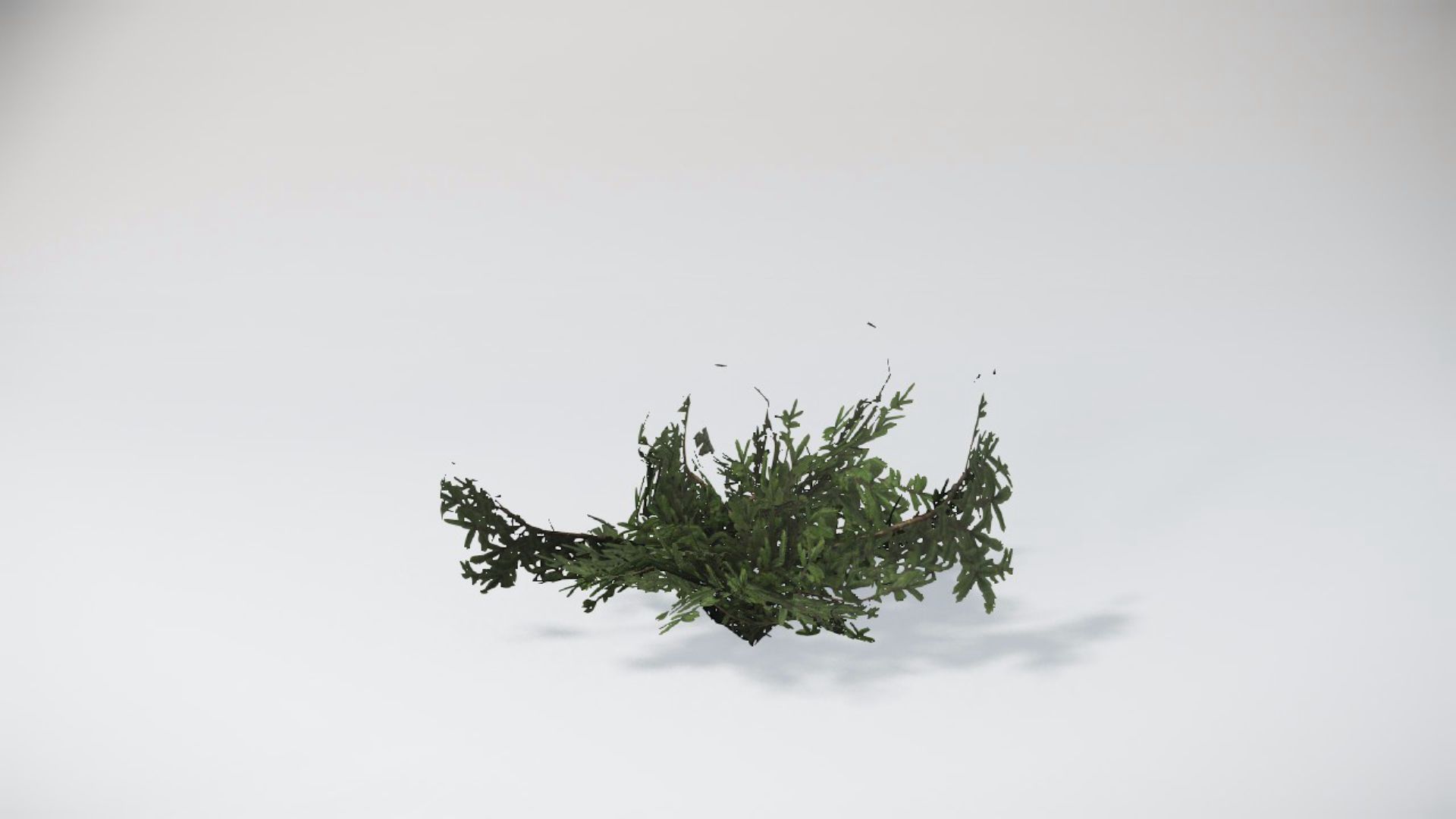 Trees 1
