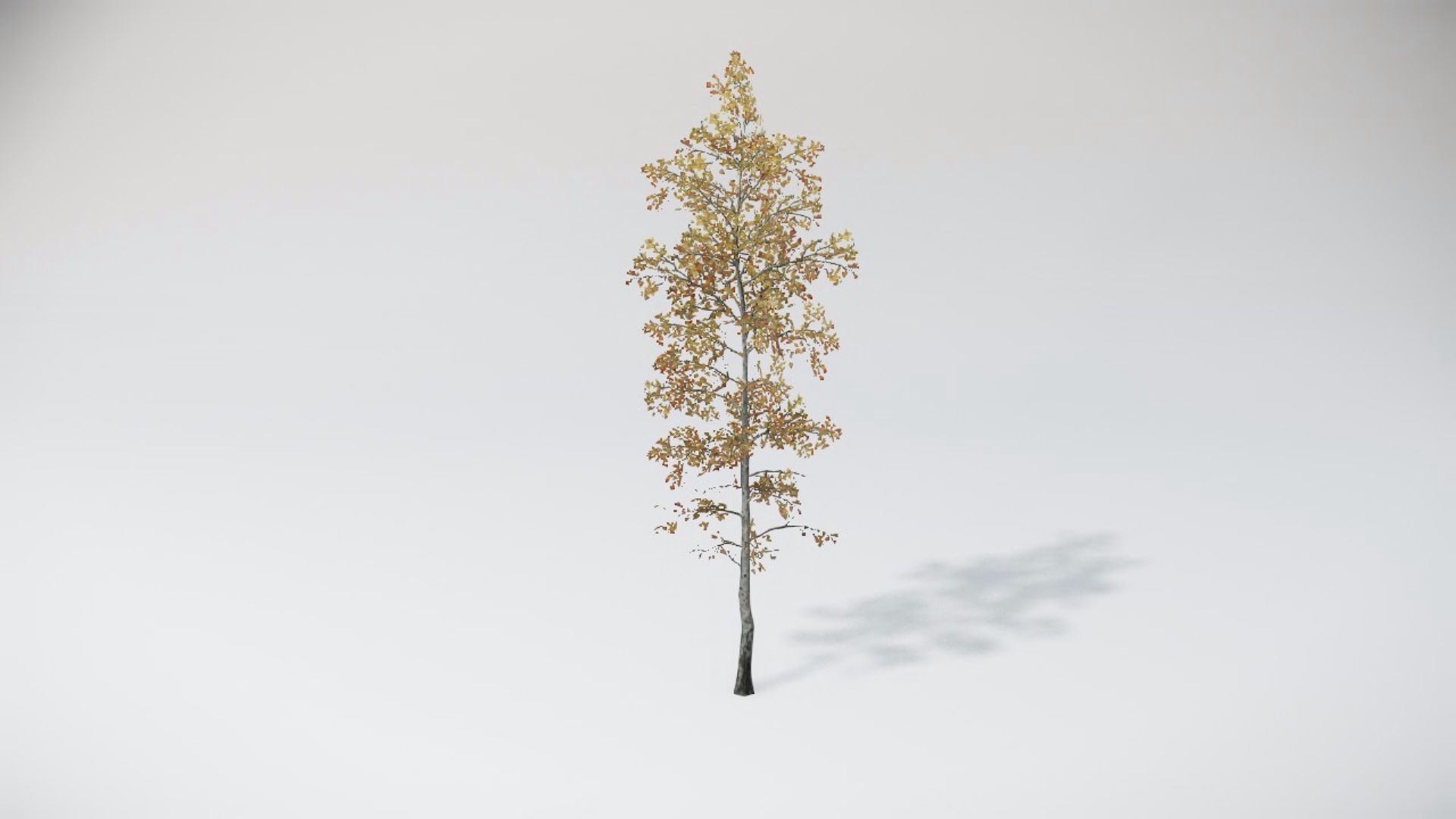 Trees 2