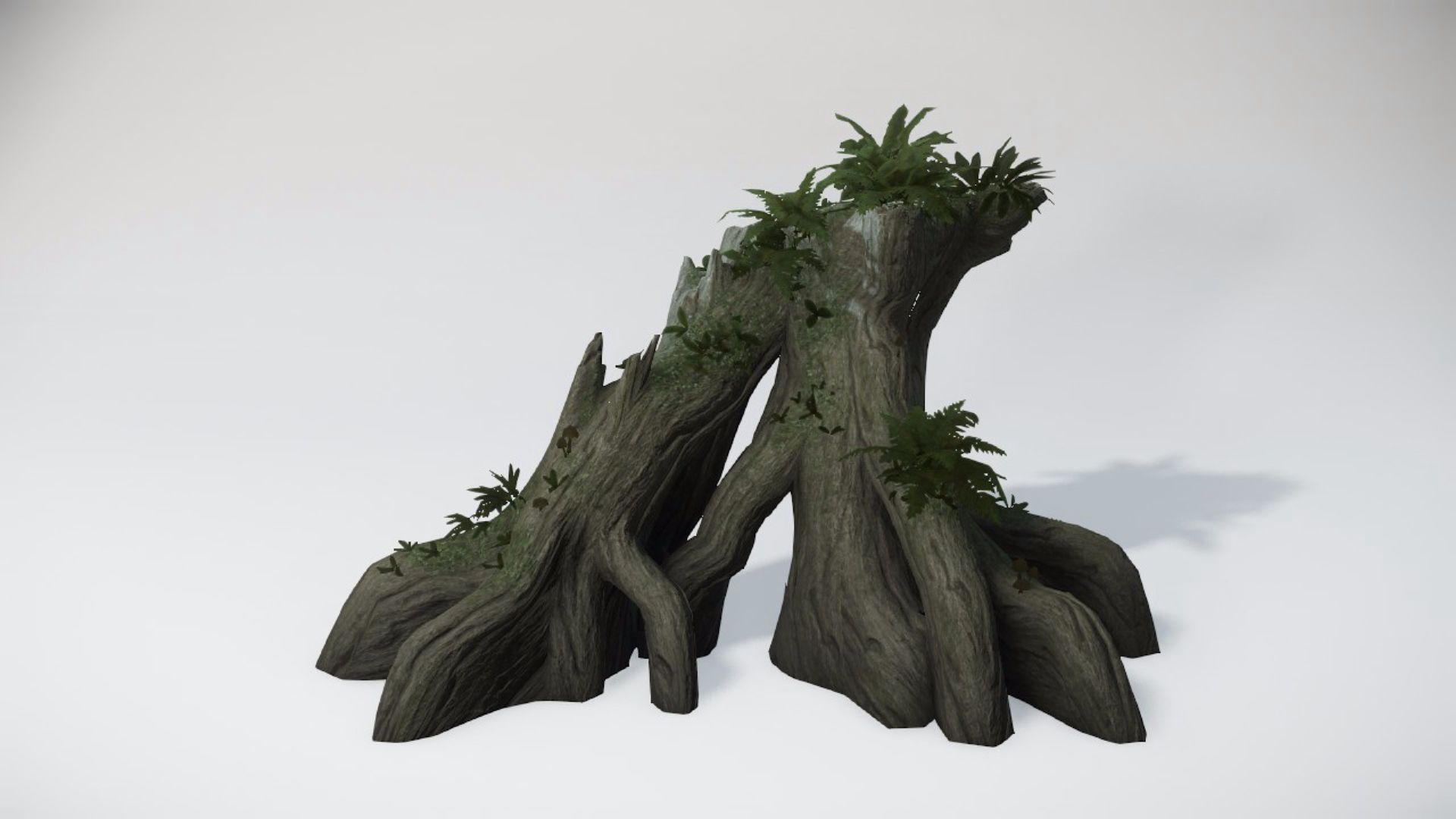Special Trees