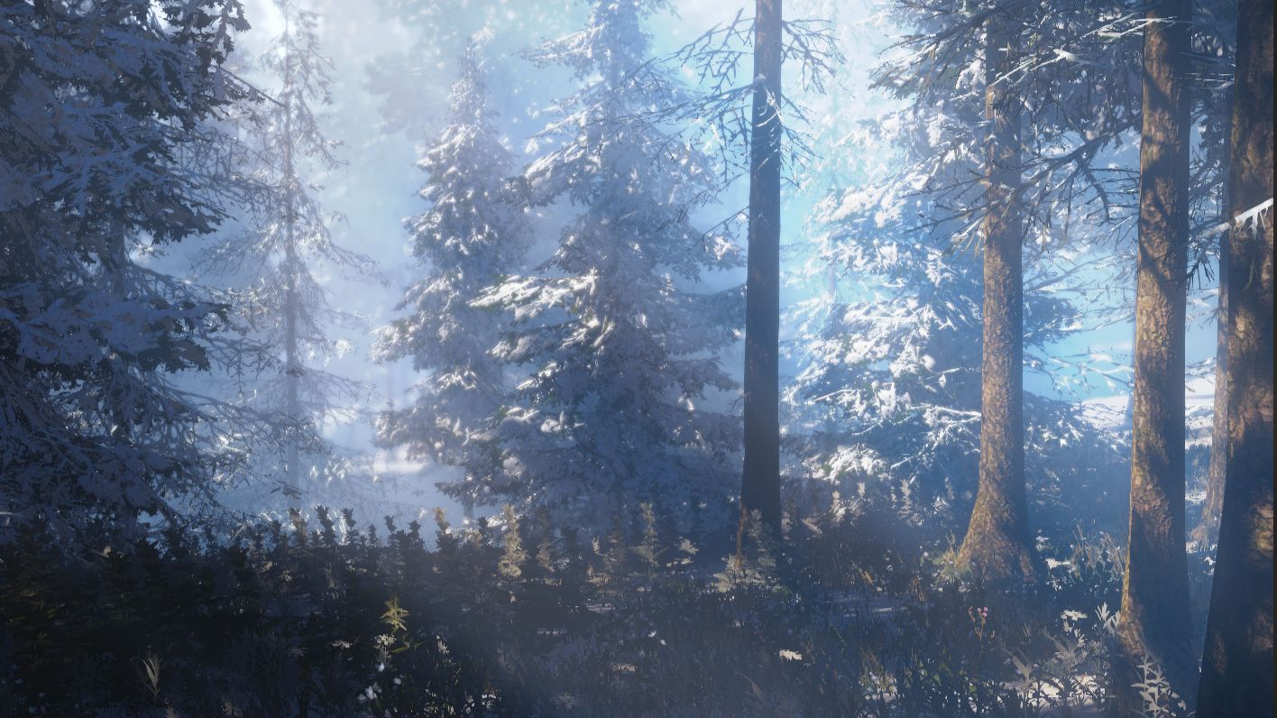 Marketplace Spotlight - Wilderness Assets