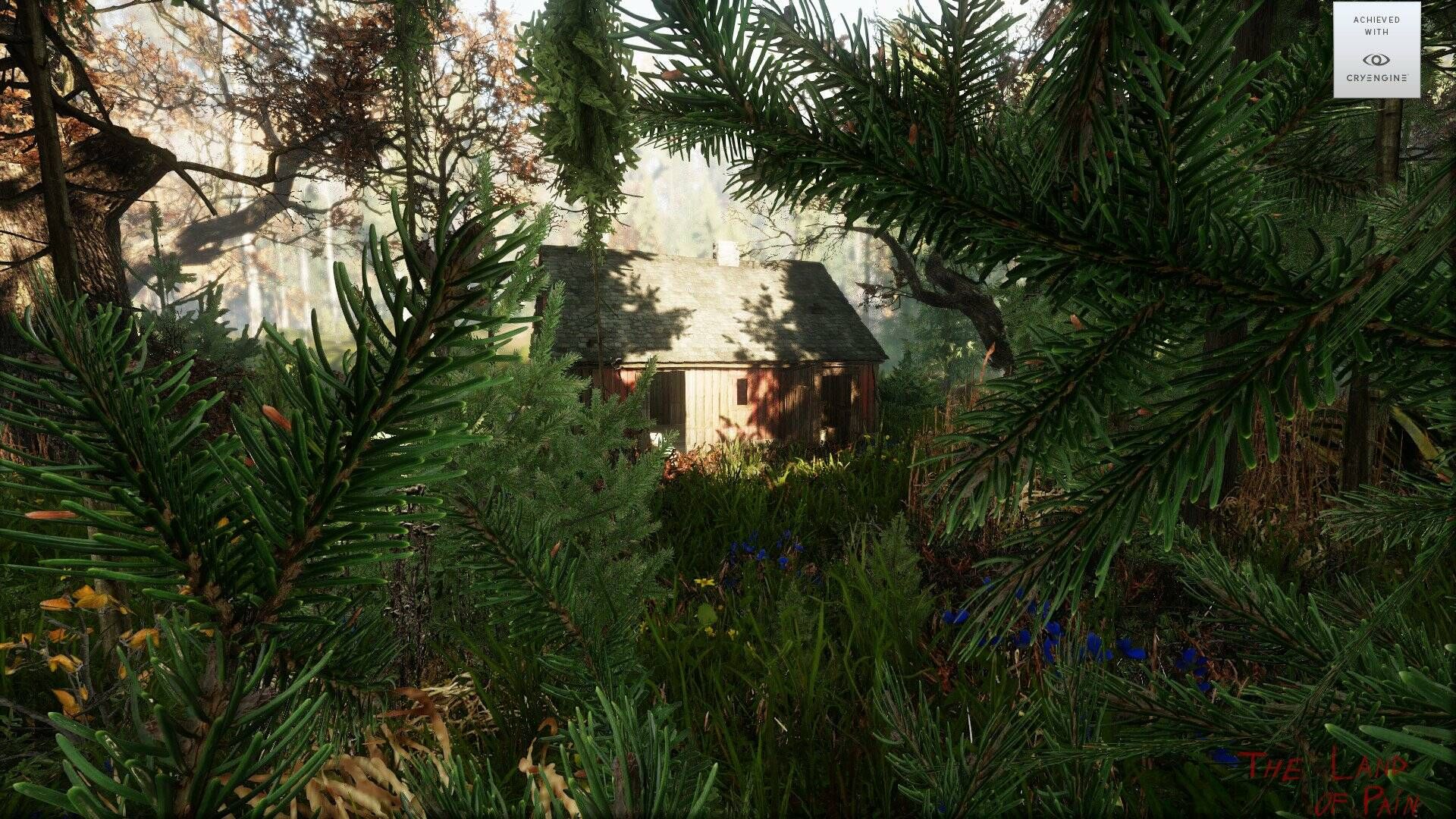 The Land of Pain