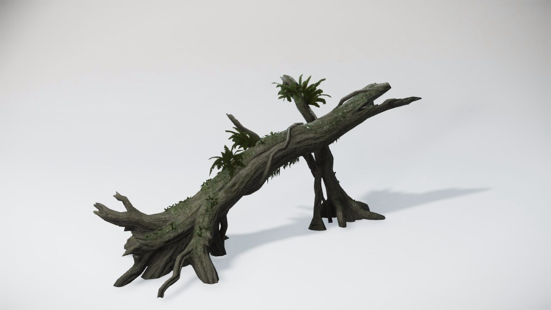 Special Trees