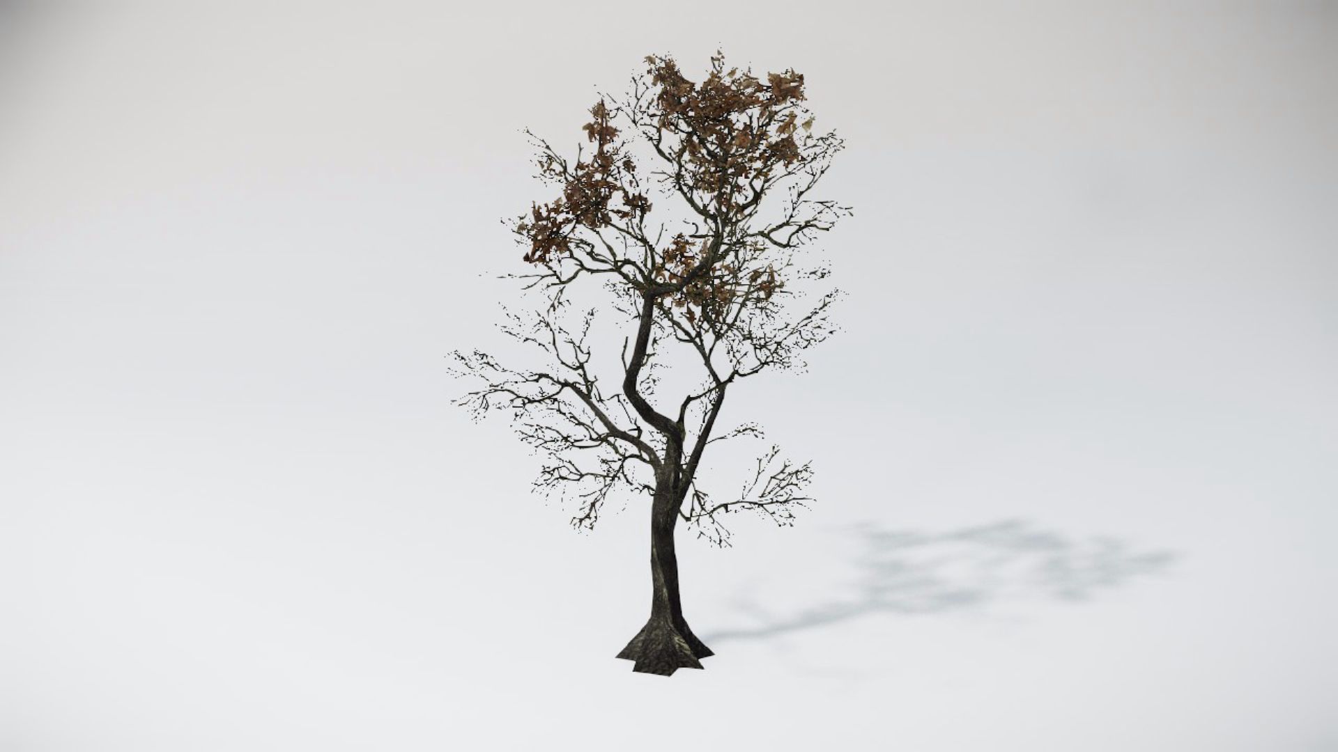 Trees 2