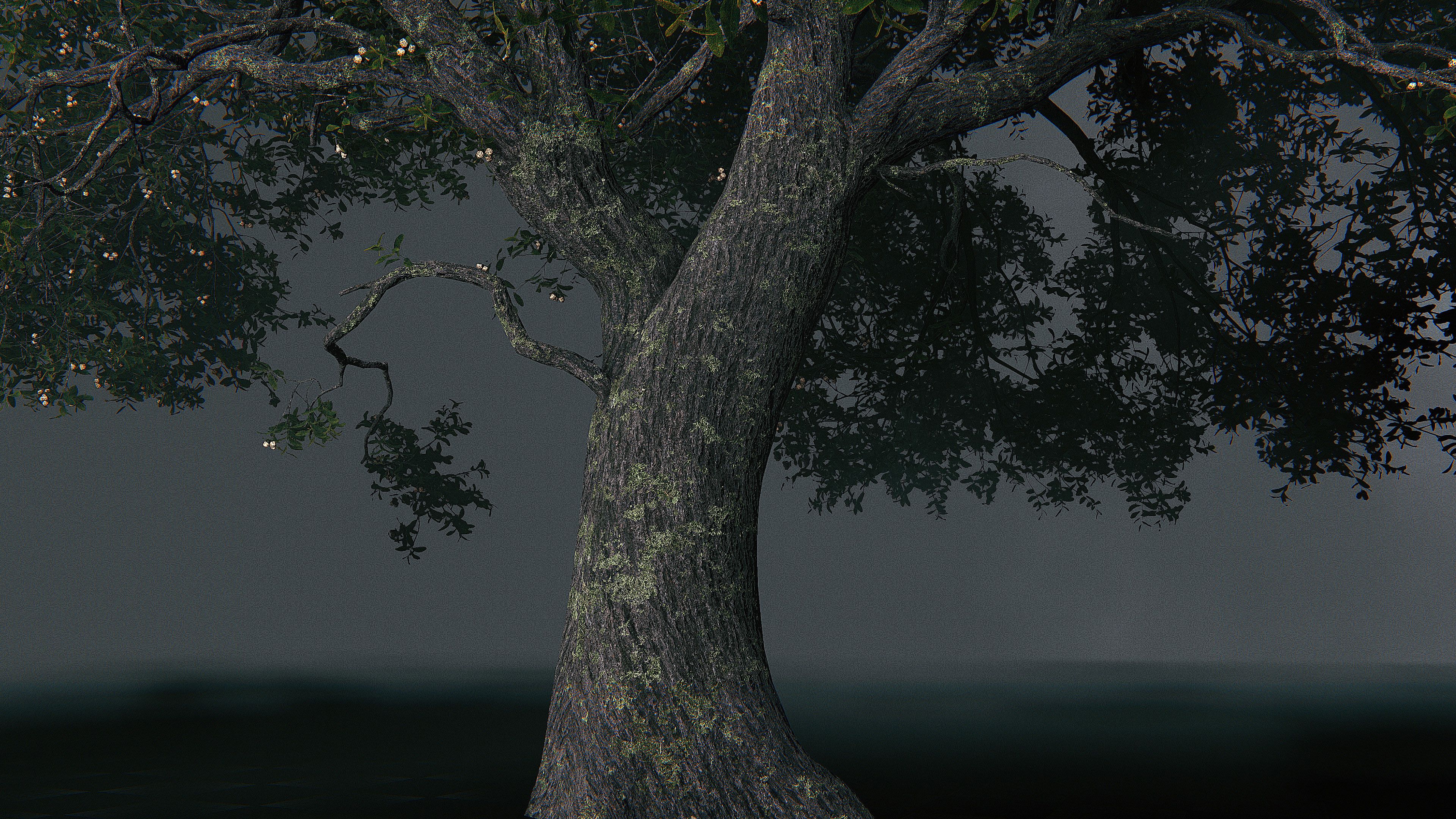 Oak Tree
