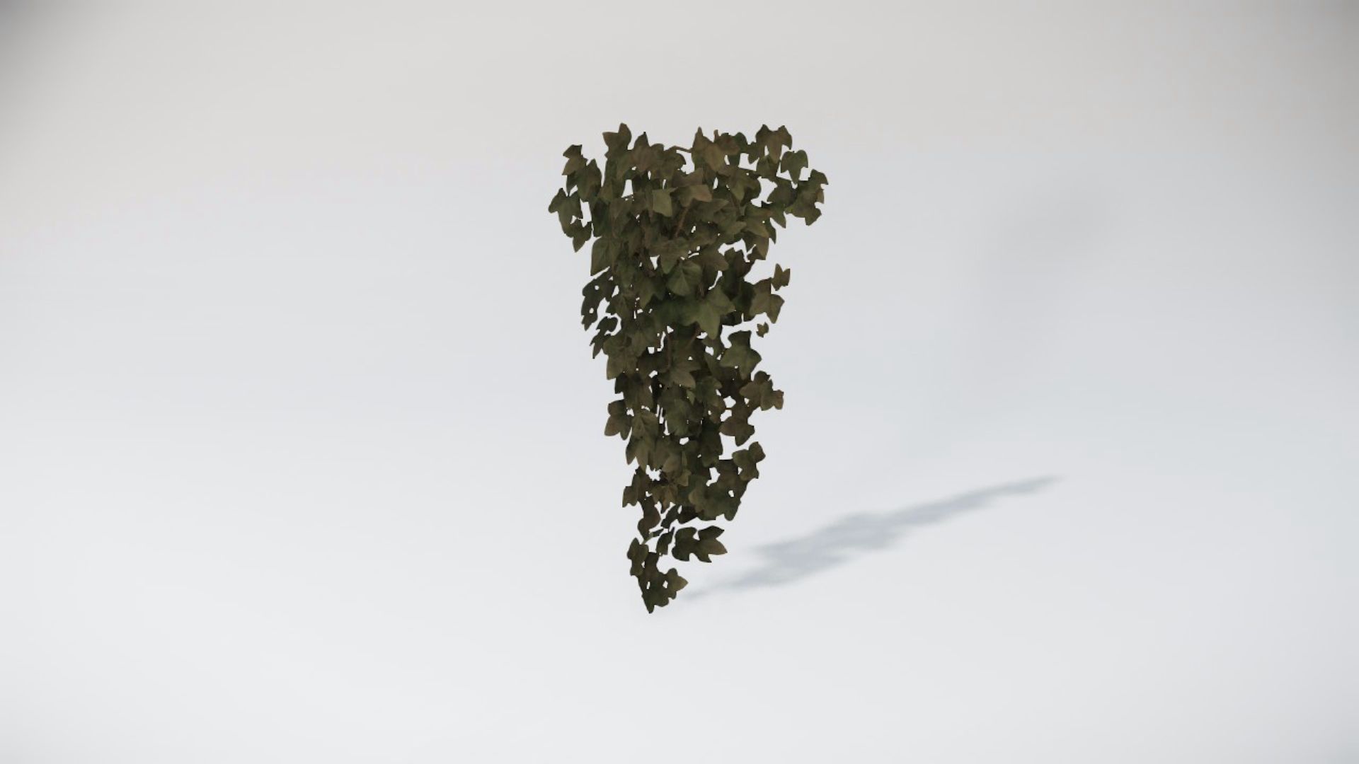 Special Bushes