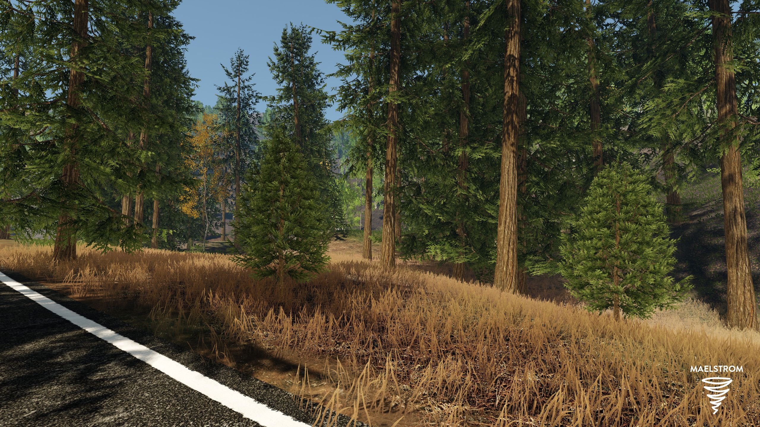 Realistic Forest Pack