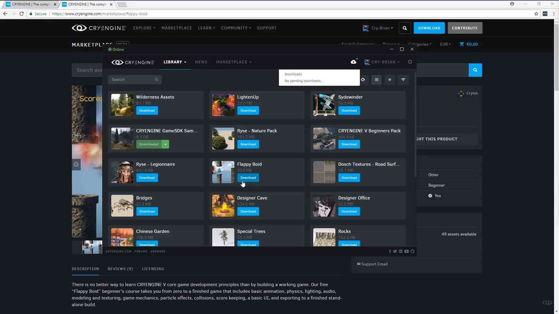 FlappyBoid Chapter 1 part 1: Level Design and GameSDK