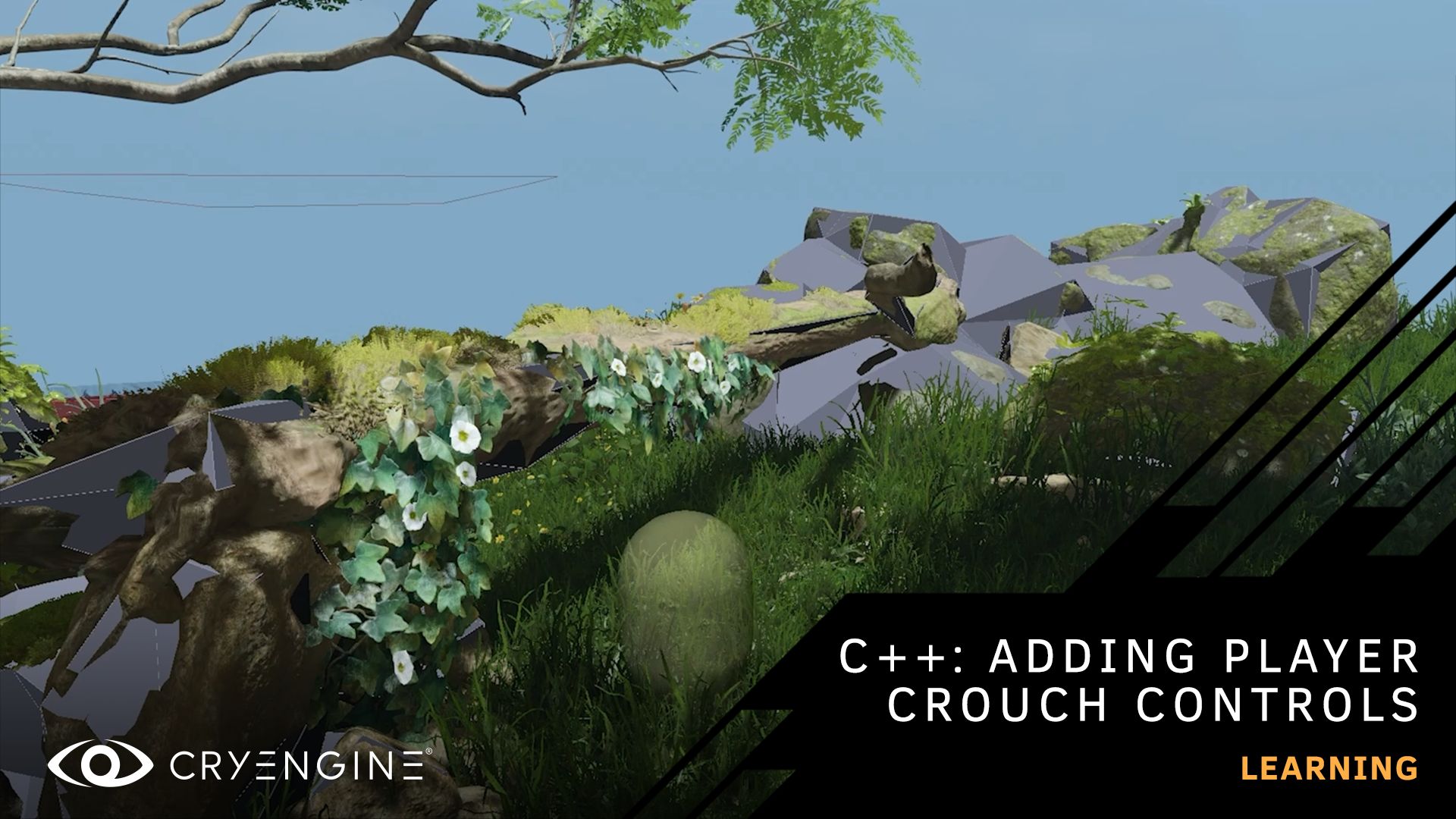 CRYENGINE 5.7 C++ Tutorial, Crouching!