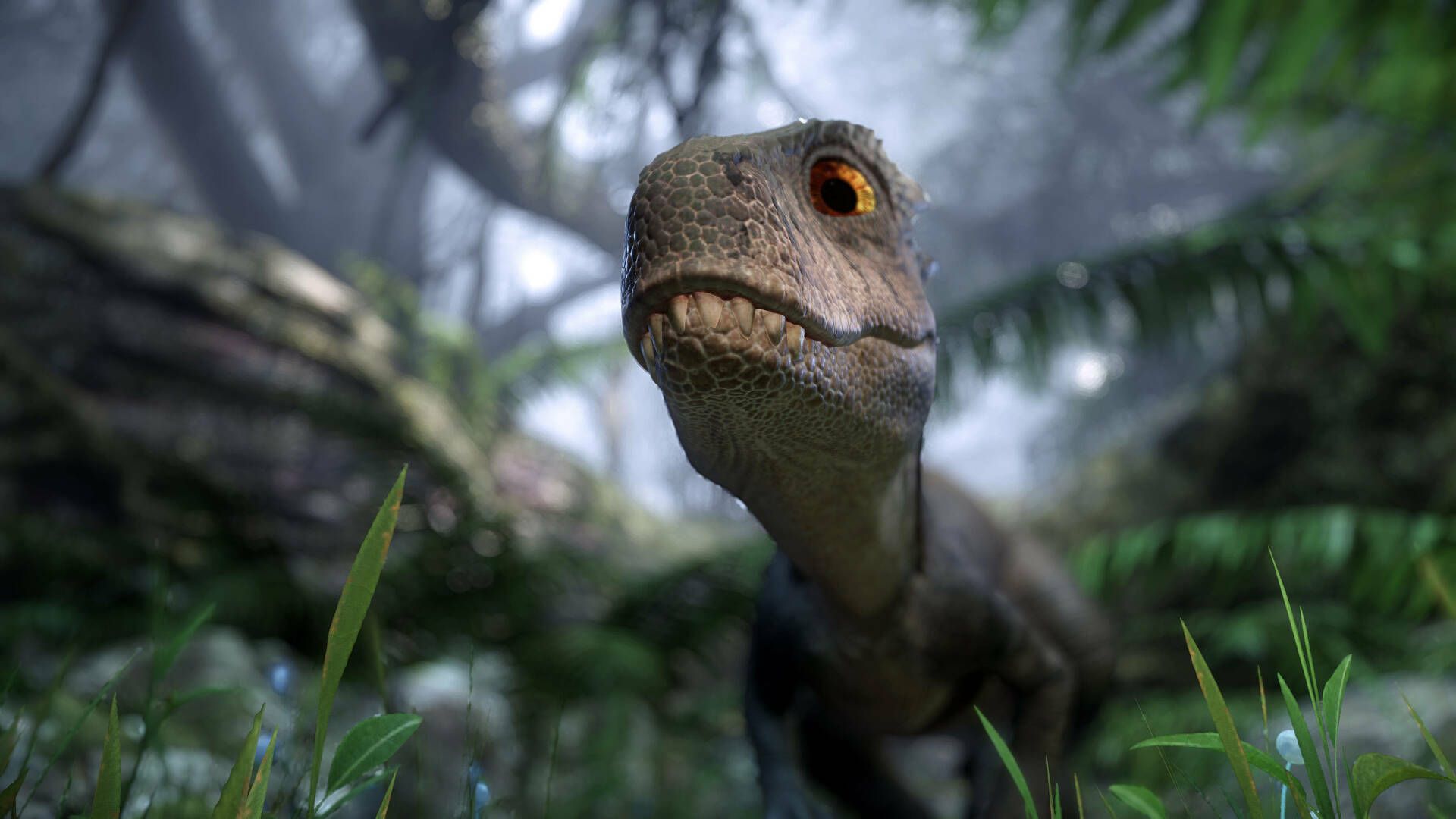 Motion Blur and Depth of Field